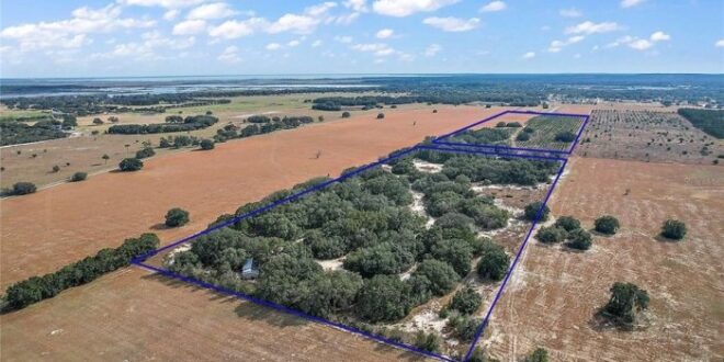 Homes for sale astatula fl