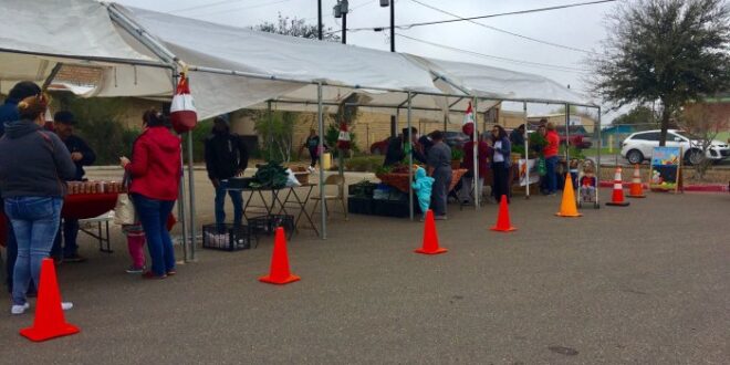 Pharr Texas Food Bank A Community Lifeline