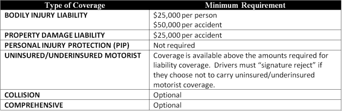Georgia minimum car insurance requirements
