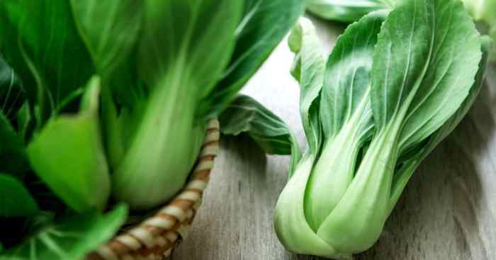 How to freeze bok choy