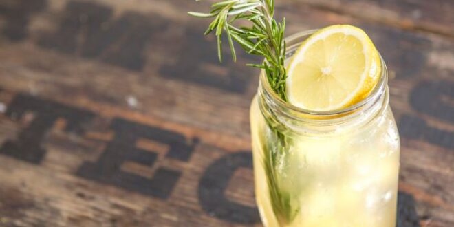Simple Lemon San Diego Drink Recipe A Guide