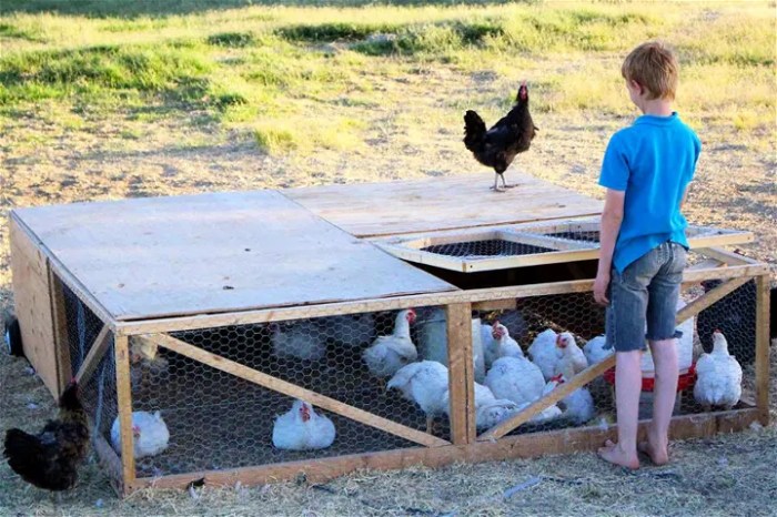 Tractor How to make a chicken tractor