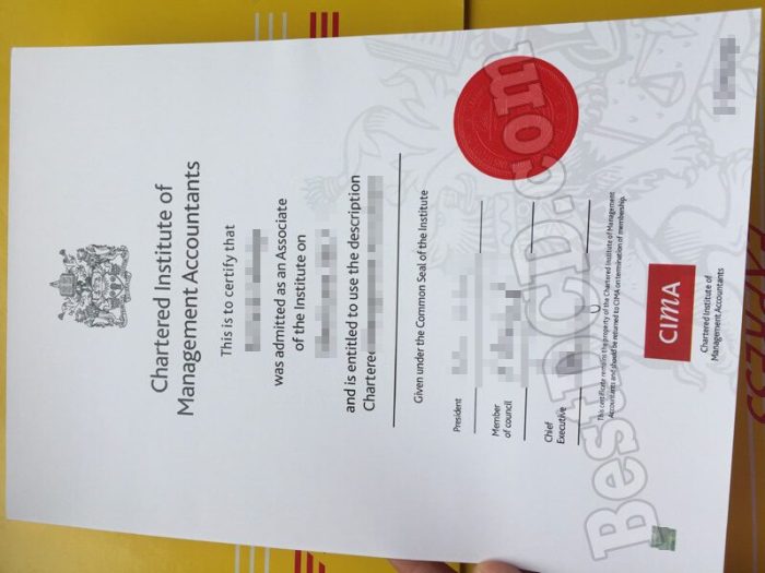How to get a fake sigma certificate