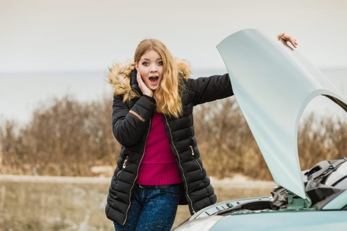 Car insurance frauds punishment nj