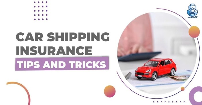 Car insurance for imported cars