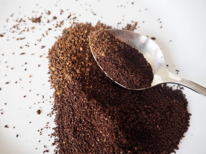 Chicory coffee root make survival mom weed common diy thesurvivalmom discovered simple story used here can choose board