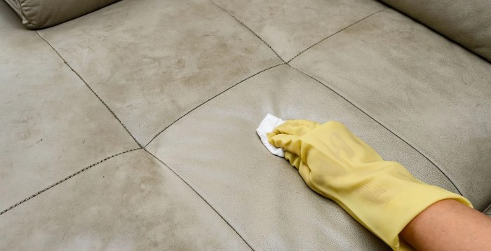 How to clean mold off of leather