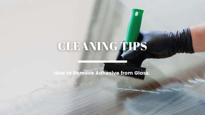 Tint window remove wikihow removing can step How to remove adhesive from tinted windows