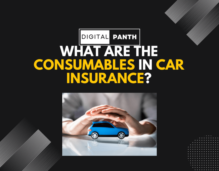 Does car insurance count as a utility bill