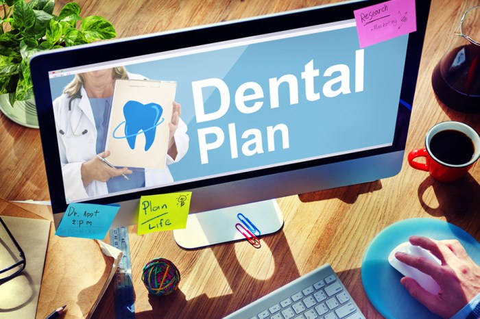What is considered basic dental care for insurance