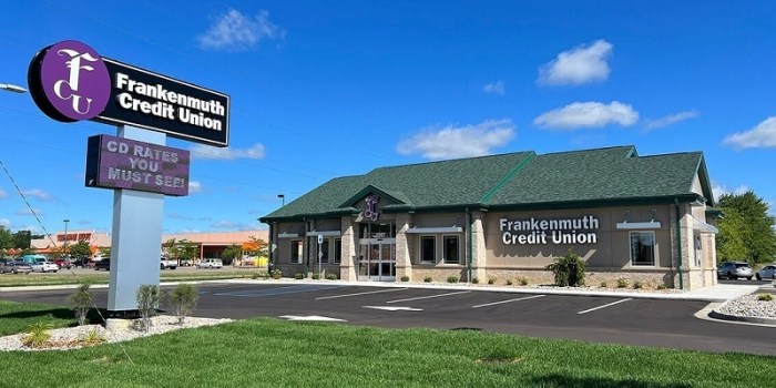Frankenmuth credit union car insurance