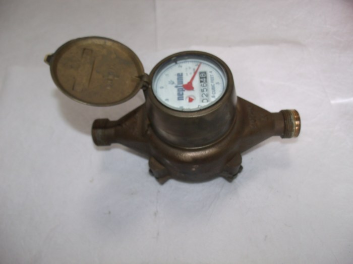 Neptune t10 potable meters gallons