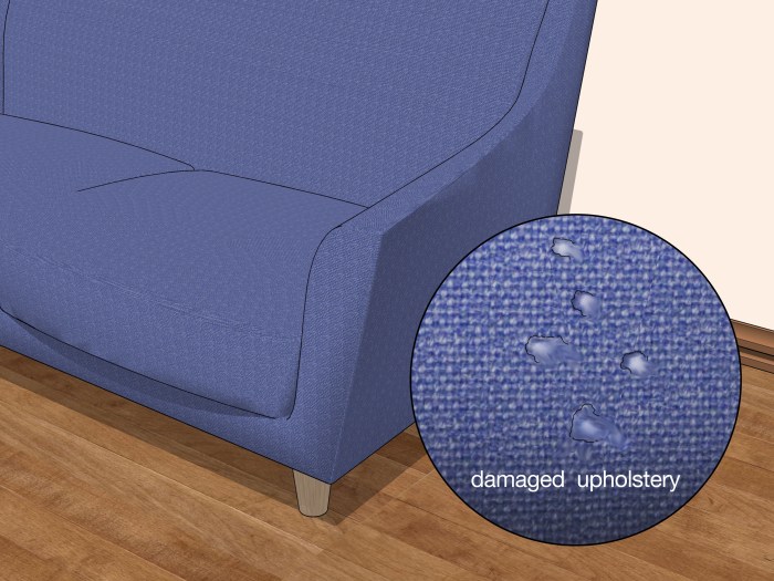 How to get rid of crickets in basement