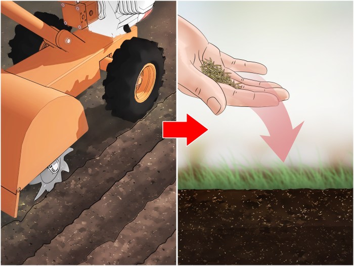 Everquest how to turn off grass