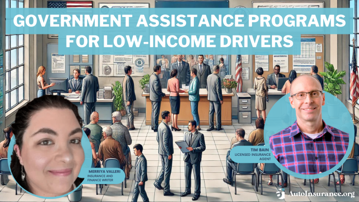 Government assistance for car insurance