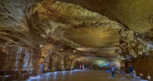 Natural bridge caverns discovery tour vs hidden