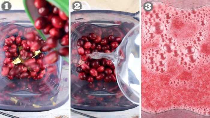 Cranberry juice tastes juicer needed