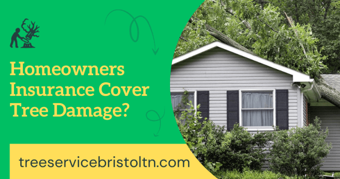 Does insurance cover tree falling on car