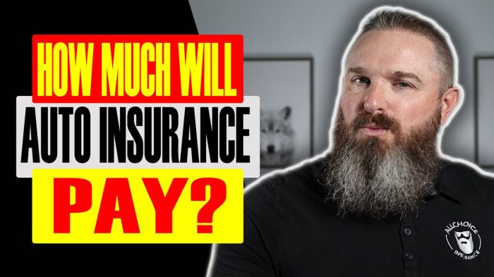 Can you pay car insurance annually