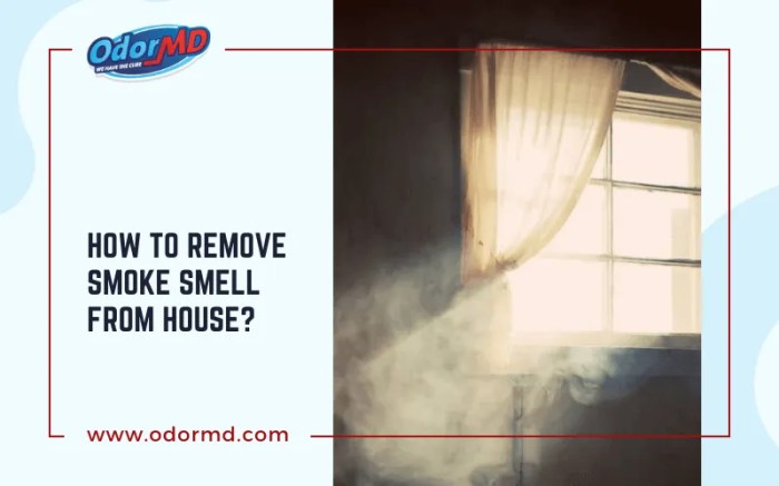 Smell smoke How to remove the smell of smoke from an apartment