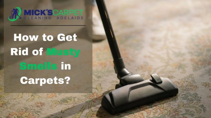 How to get rid of smelly wet carpet