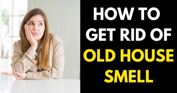 How to get rid of old people smell in house
