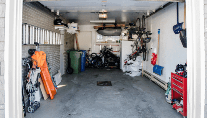 How to get birds out of my garage