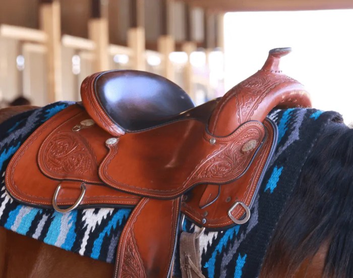 How to measure a horse for a saddle