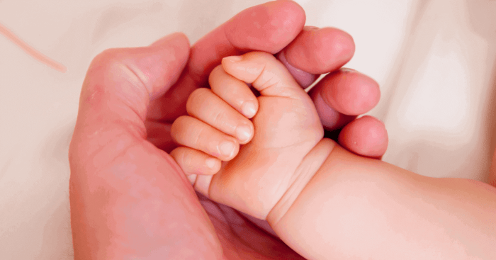 How to add newborn to insurance blue cross blue shield