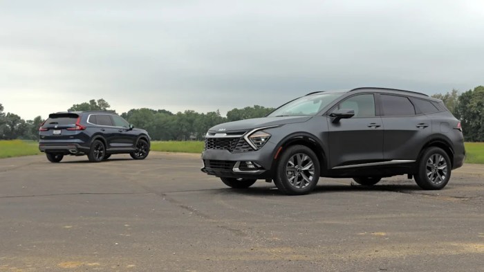 Sportage hybrid how long to wait to buy 2024
