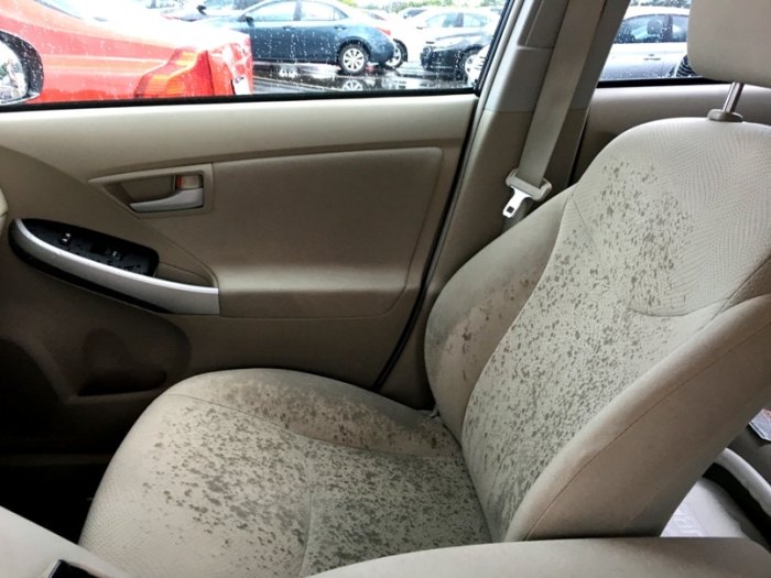 How to get rid of mold from car