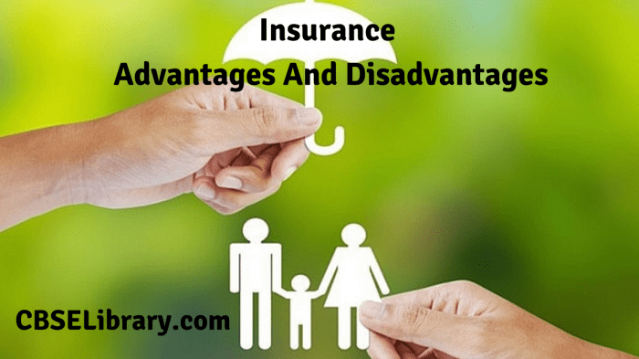Car insurance advantages and disadvantages