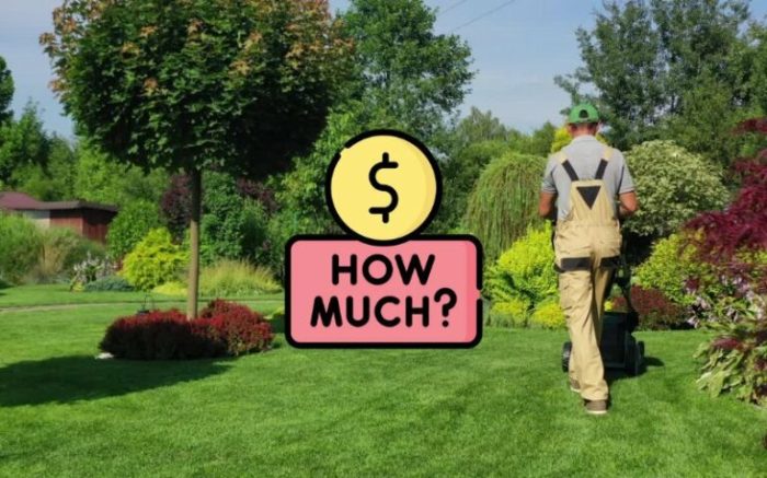 Average cost of lawn care insurance