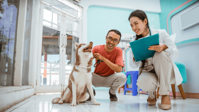 Free veterinary care for low income near me no insurance