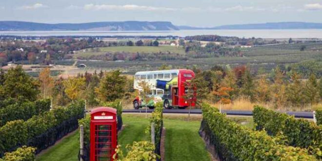 Wine lovers tour in nova scotia