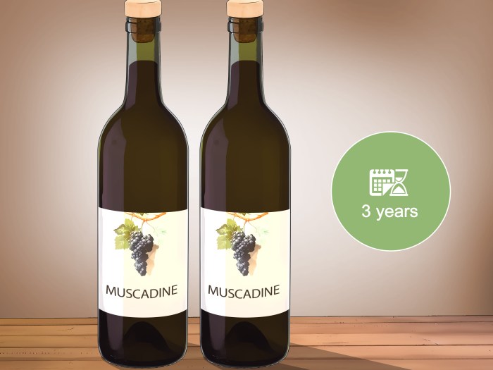 Muscadine fashioned grape Muscadine fashioned grape