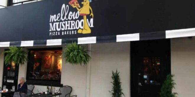 Best pizza in savannah georgia