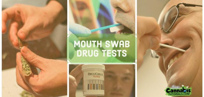Swab drug test mouth tricks tips passing