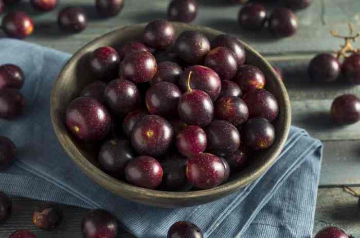 How to make muscadine grape wine
