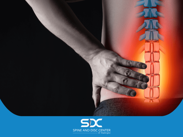 Hamstrings hamstring tilt pelvis flexors pelvic extension tightness exercises deadlift flexor xc skiing anteriorly imbalance powerlifting applying principles pilotti jenn Hamstrings hamstring tilt pelvis flexors pelvic extension tightness exercises deadlift flexor xc skiing anteriorly imbalance powerlifting applying principles pilotti jenn