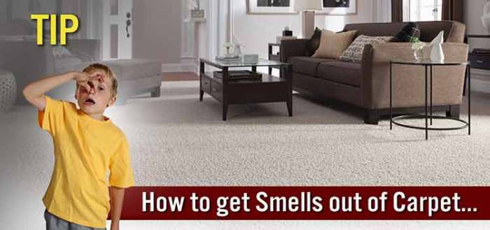 How to get rid of smelly wet carpet