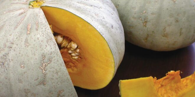 Sweet Meat Squash Recipes A Culinary Adventure