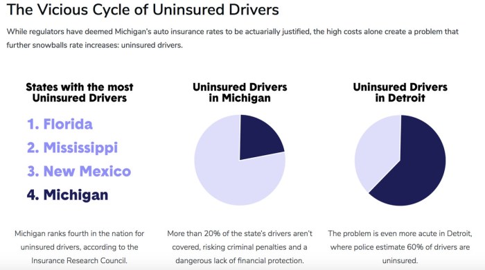 Michigan car insurance increase 2024