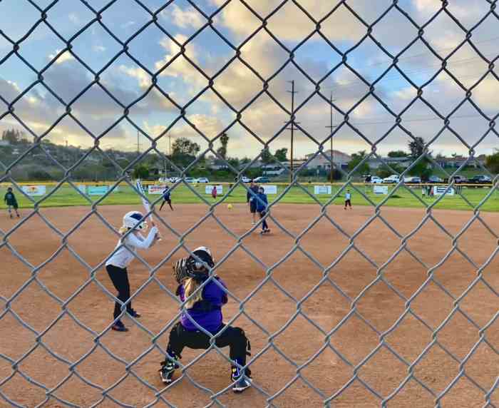 How much does it cost to play softball