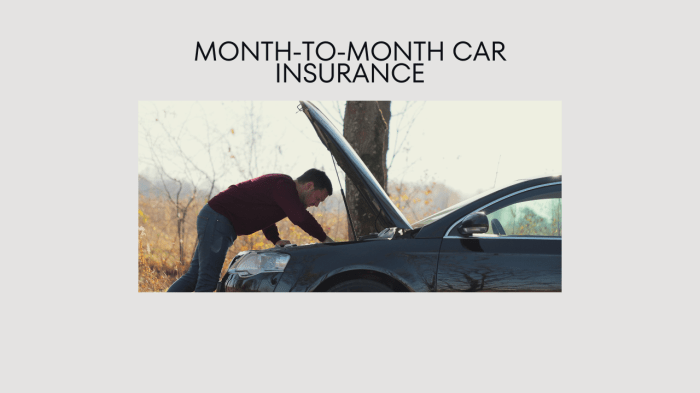 Is car insurance monthly or yearly