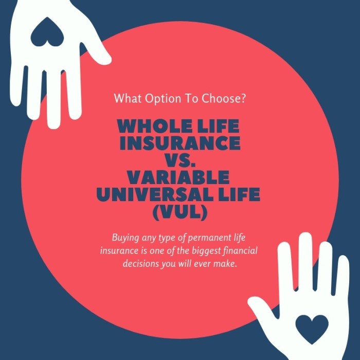 Variable insurance guaranteed vul Variable insurance guaranteed vul