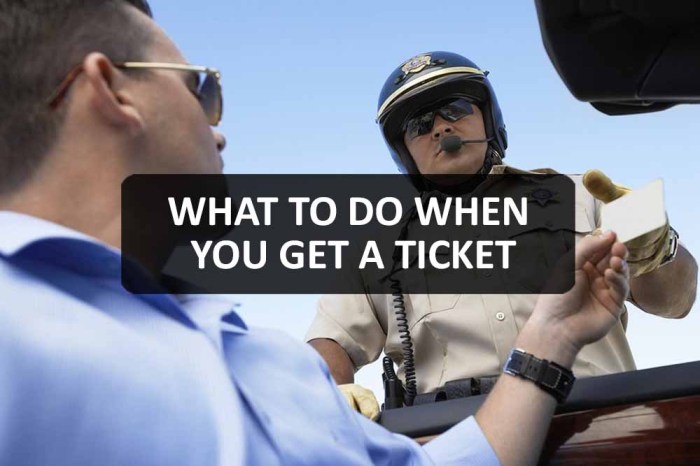 How long do you have to pay a ticket