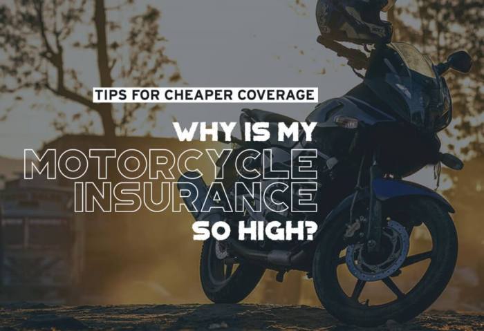 Is motorcycle insurance more expensive than car insurance
