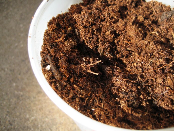 How to use worm castings