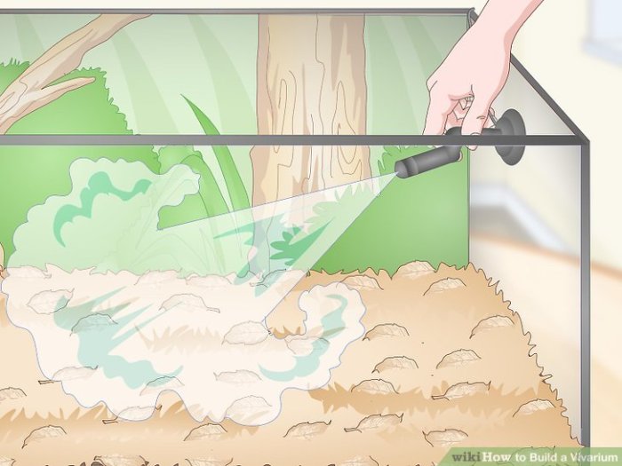 How to paint vivarium interior